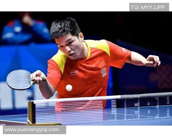 杭州乒乓球队区域防守策略分析及其在比赛中的应用探讨